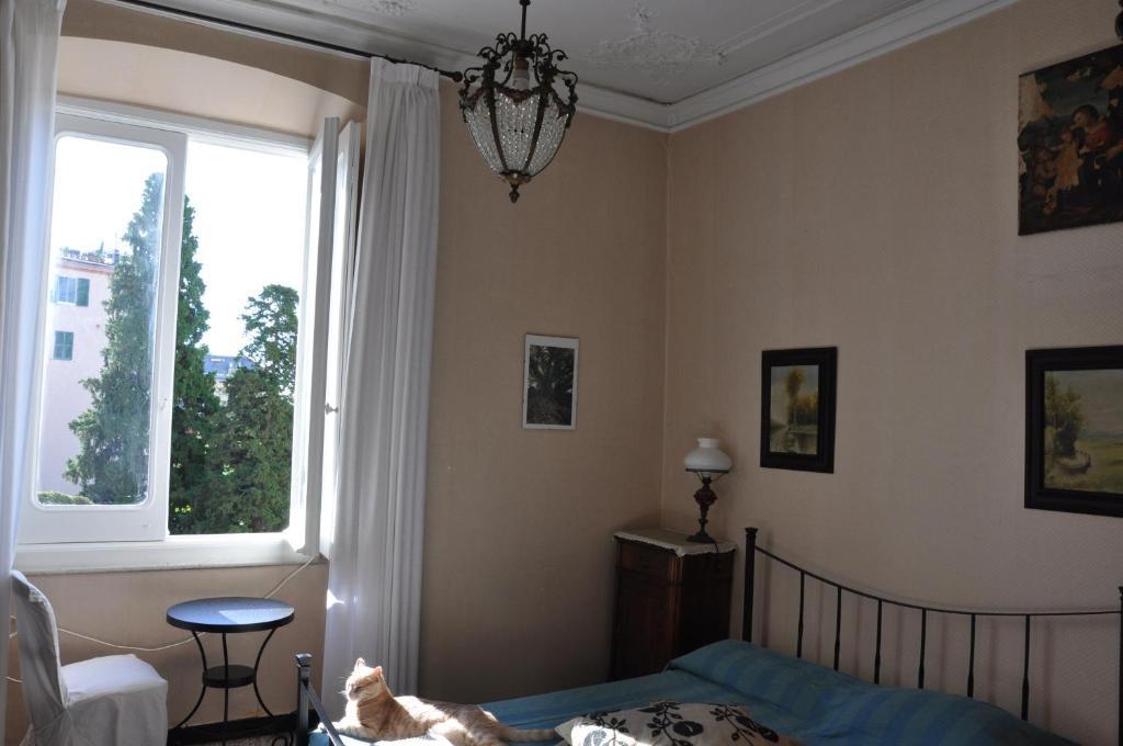 Single Room,27119336:JPEG