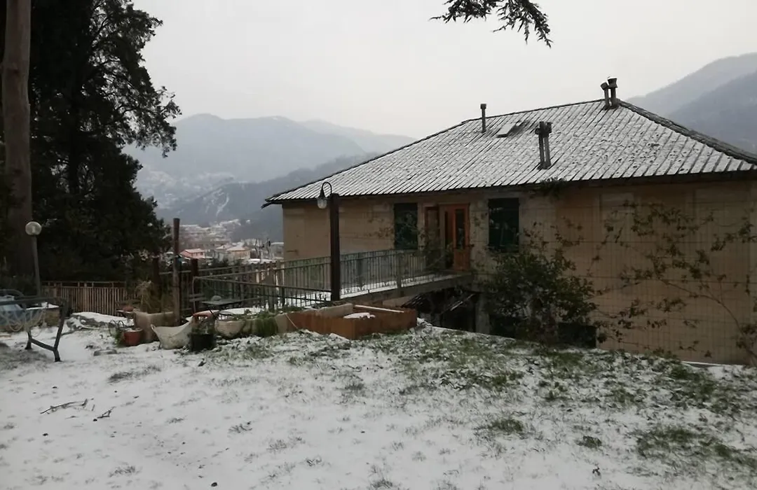 B&B Il Cedro-1