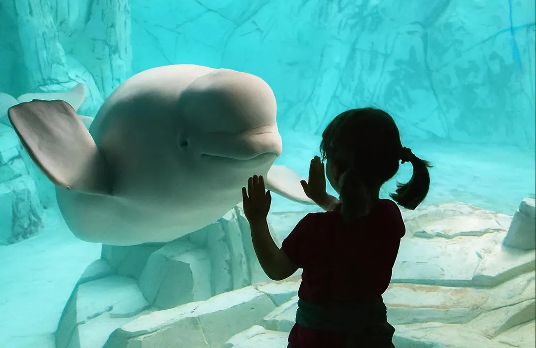 Sole Rosso Acquario Rooms-1