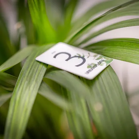 Urbanflora-2